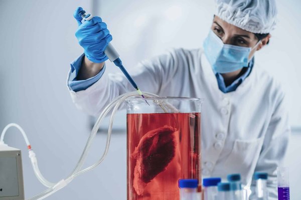 What Are the Latest Innovations in Synthetic Meat Production in the UK?